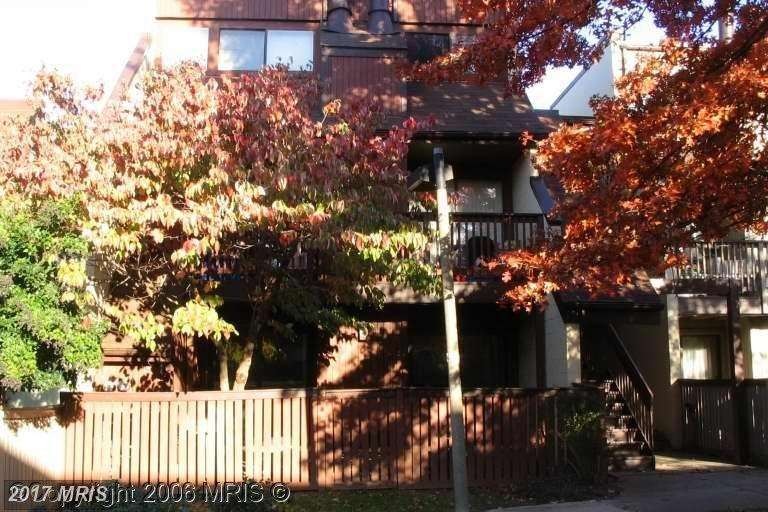 3809 El Camino Place, Alexandria, VA 22309 - photo 1