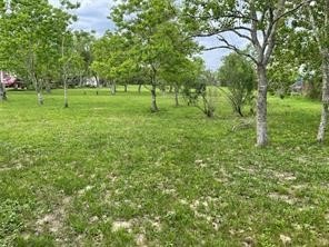 TBD Burton Cemetery Rd, Waller, TX 77484 - photo 1