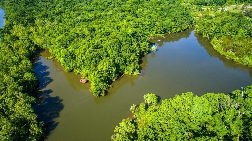 Fish or boat within the community