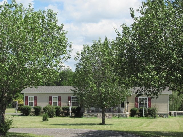 Main View