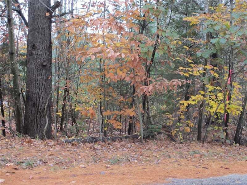 Land/Lot.