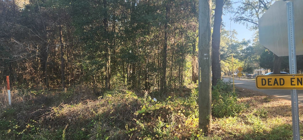 TBD Hutchinson Ferry Rd, Quincy, FL 32352 - photo 1