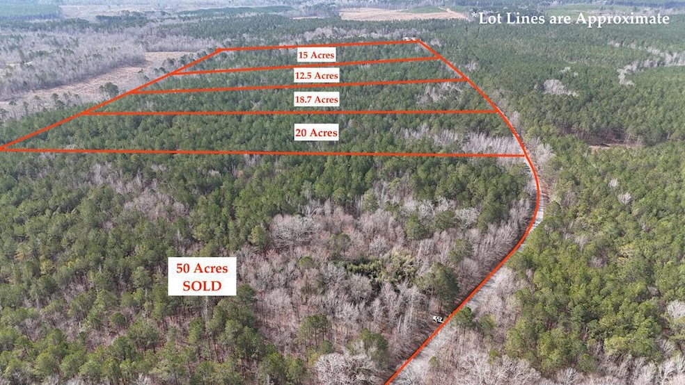 0 Markham Rd, Bradley, SC 29819 - photo 1