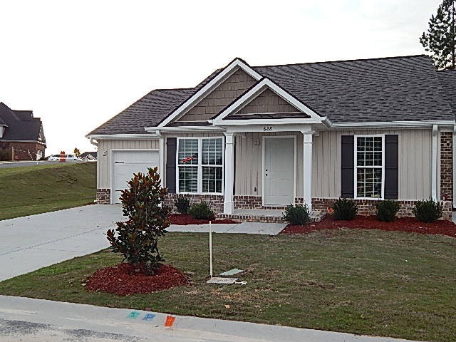 Main View