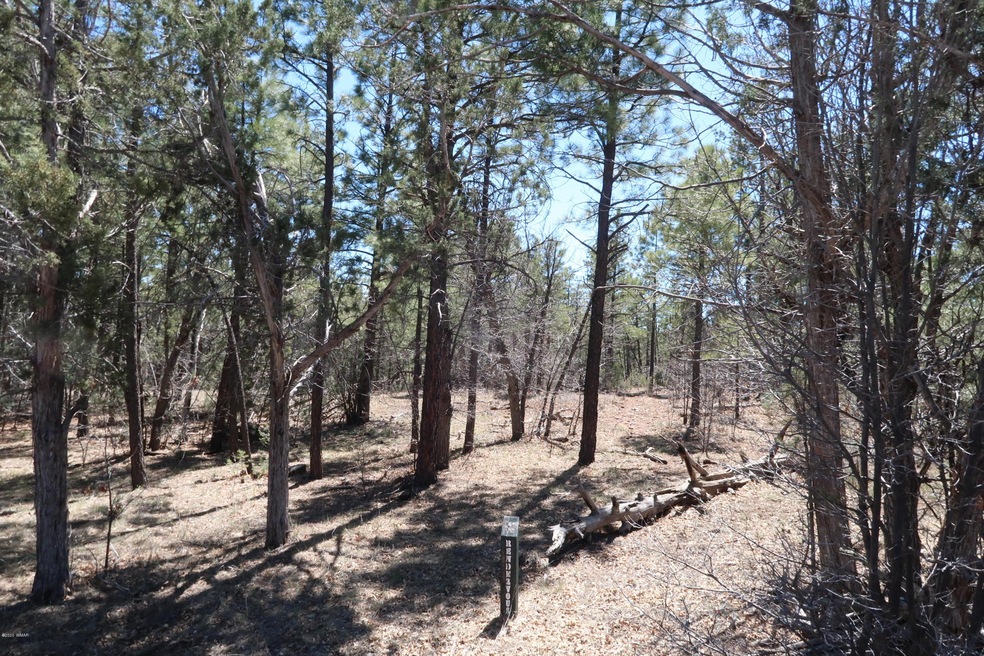 View of Trail to Forest