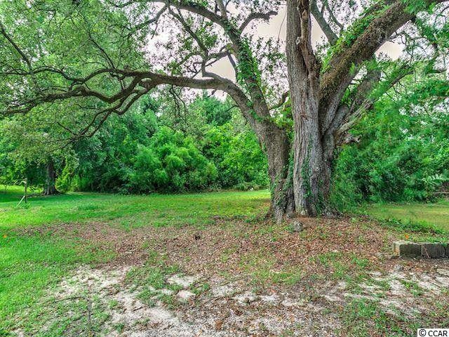 0 Apple Ln, Conway, SC 29527 - photo 1