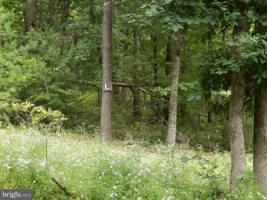 0 River Oak Dr unit 1000402979, Bentonville, VA 22610 - photo 1