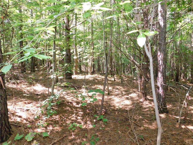 lot #6 Highway 52, Dahlonega, GA 30533 - photo 1