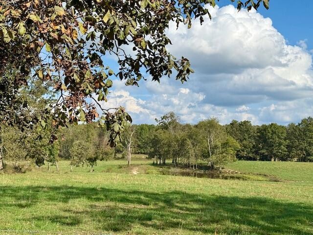 960 County Road 3030, Mountain View, MO 65548 - photo 1