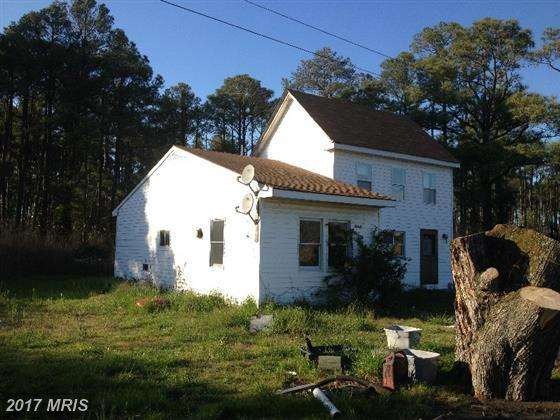 2806 Tedious Creek Rd, Toddville, MD 21672 - photo 1