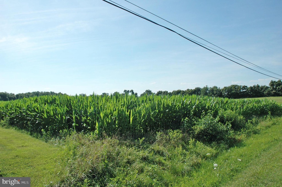 Lot 2 Crystal Beach Rd, 1, Cecilton, MD 21919 - photo 1