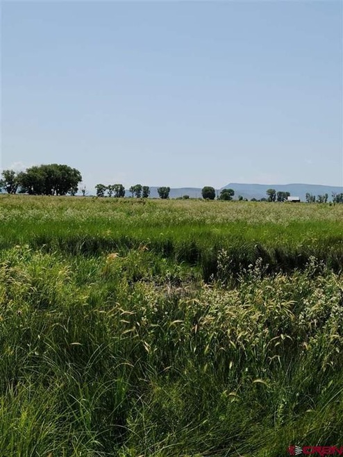 TBD Rd Road 112 S, Alamosa, CO 81101 - photo 1