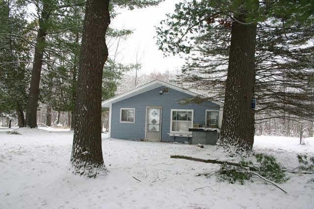 3915 Birch St, Bitely, MI 49309 - photo 1