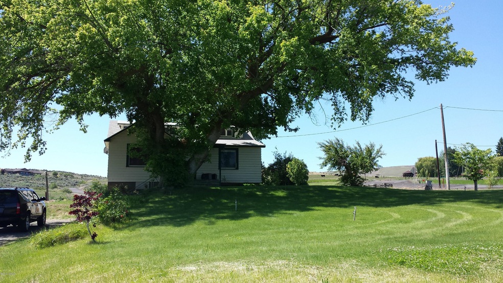 backyard2