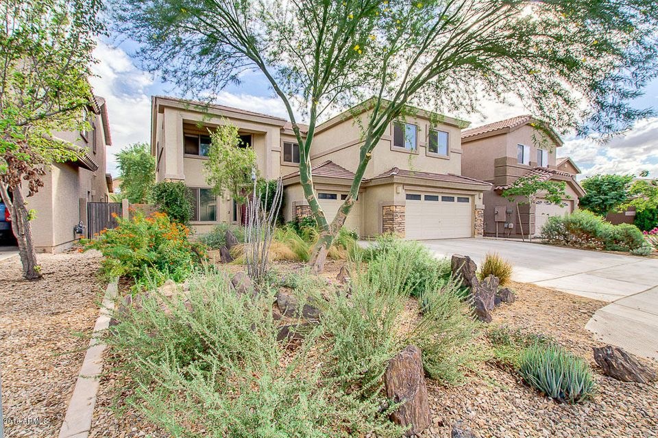 1-Yucca front