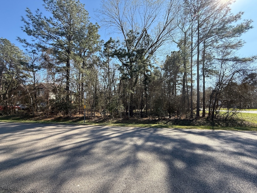 00 Dillon Dr, Magnolia, TX 77354 - photo 1