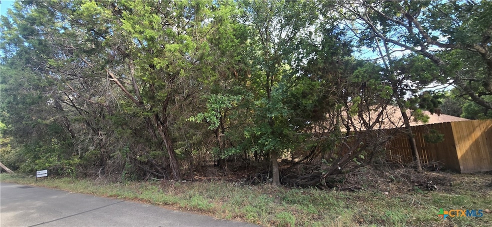 5594 Denmans Loop, Belton, TX 76513 - photo 1