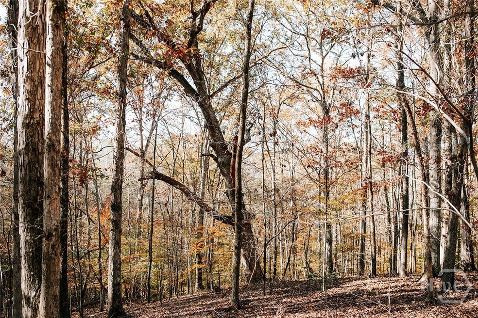 0 Greensboro Rd unit CL343963, Crawfordville, GA 30631 - photo 1