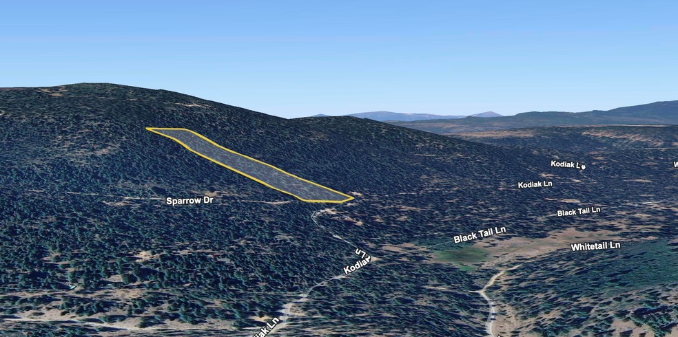 Google Earth Image
