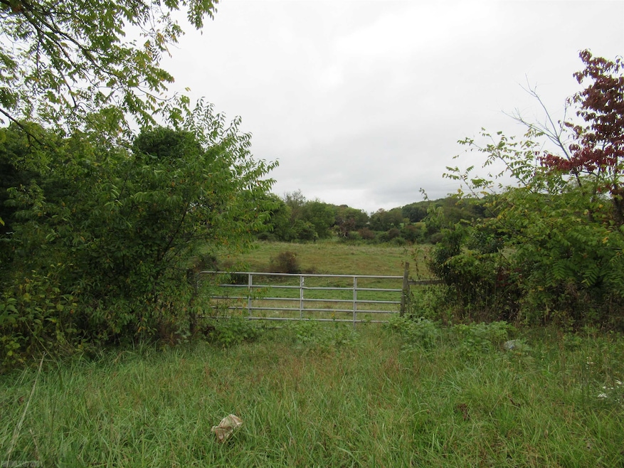 TBD Cleburne Blvd, Dublin, VA 24084 - photo 1