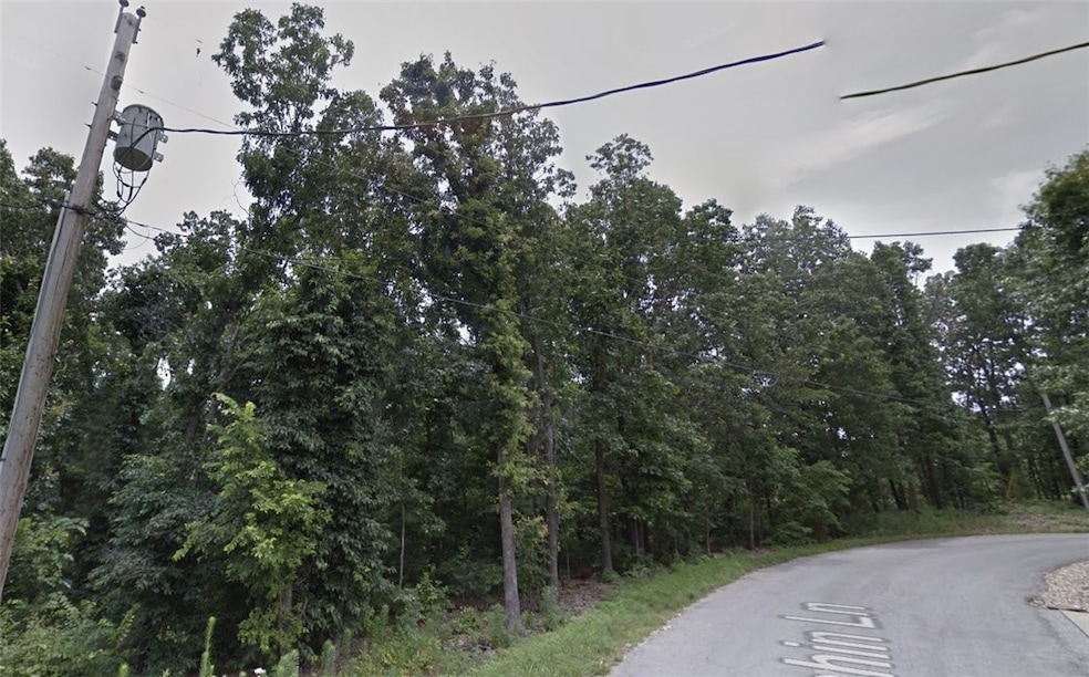 14 Cashin Ln, Bella Vista, AR 72715 - photo 1