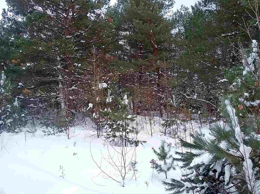 00 Deer Path, Carroll, NH 03595 - photo 1