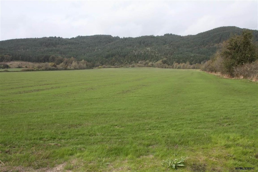 0 Richard (Lot #40) St, Sheridan, OR 97378 - photo 1