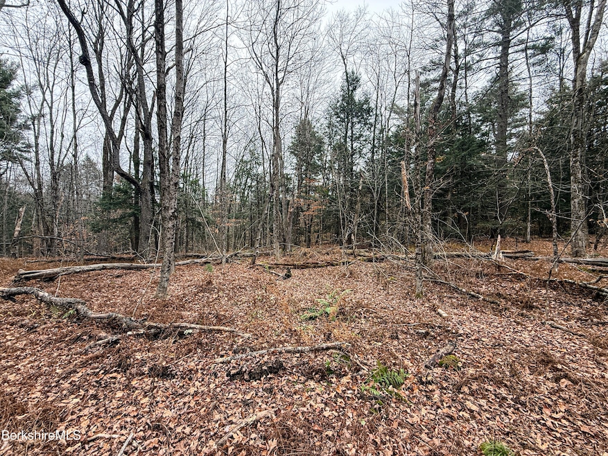 LOT10 Benton Hill Rd, Becket, MA 01223 - photo 1