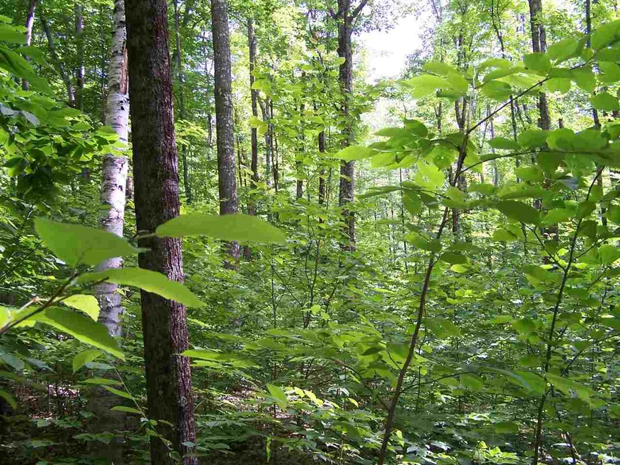 00 Borough Rd, Canterbury, NH 03224 - photo 1