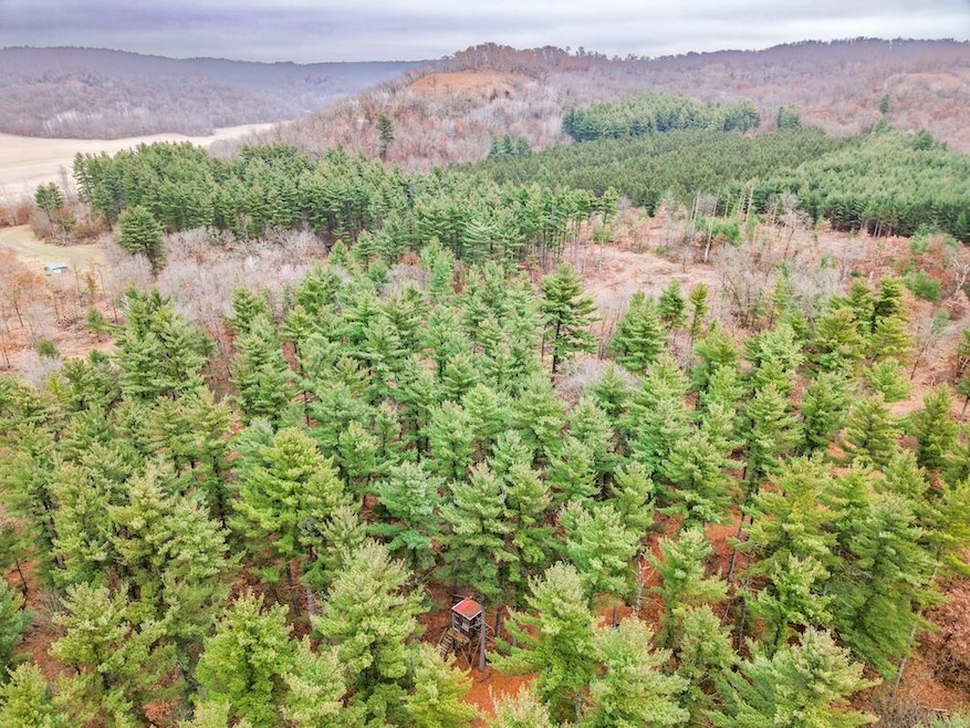 W2052 Spring Creek Rd, Durand, WI 54736 - photo 1