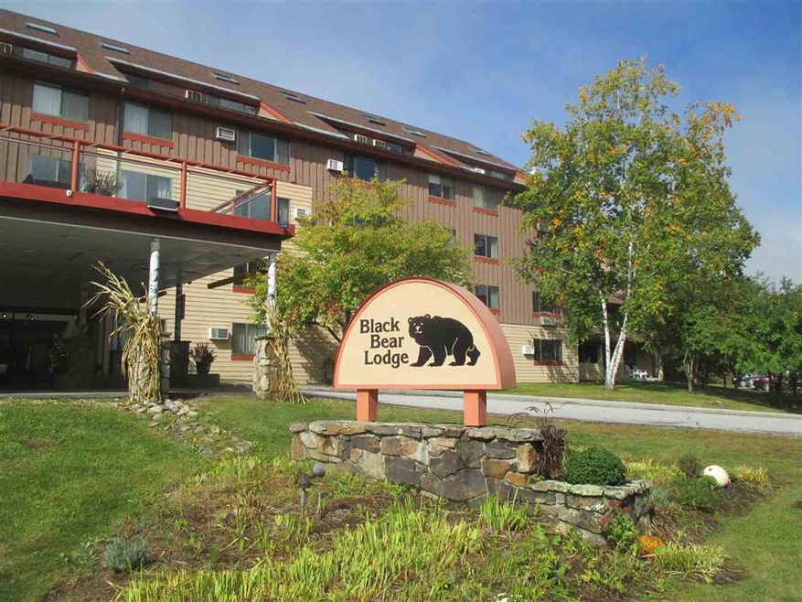 23 Black Bear Way unit 202, Waterville Valley, NH 03215 - photo 1