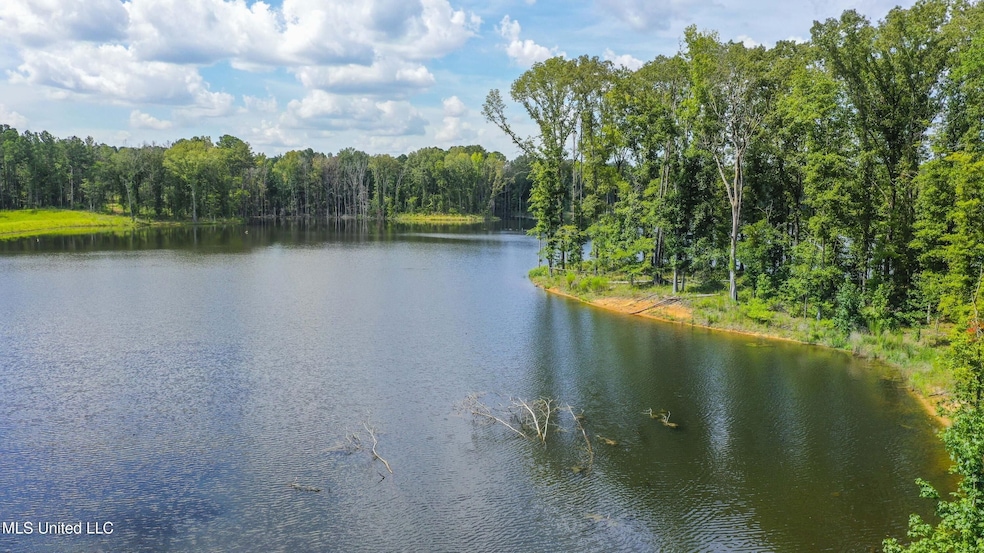 0 Springwood Trail unit 22567398, Flora, MS 39071 - photo 1