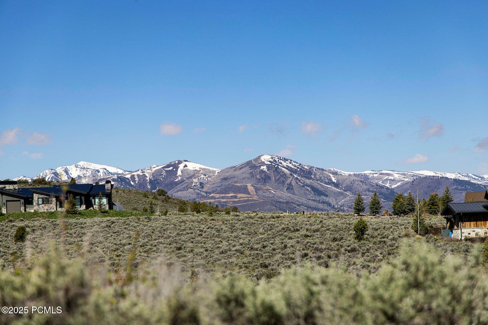 001_7317cinchwylot4812_974