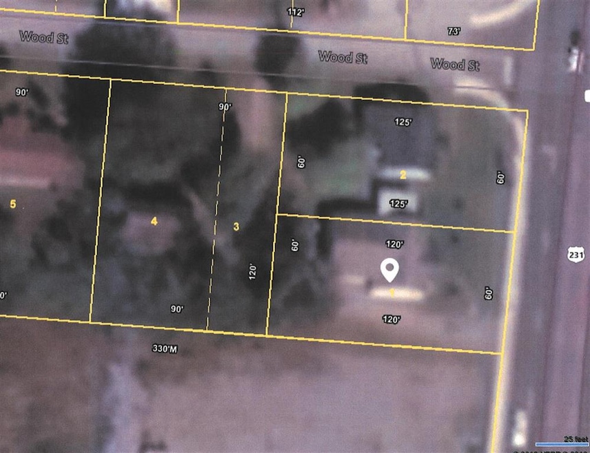 1405 N Main St, Shelbyville, TN 37160 - photo 1