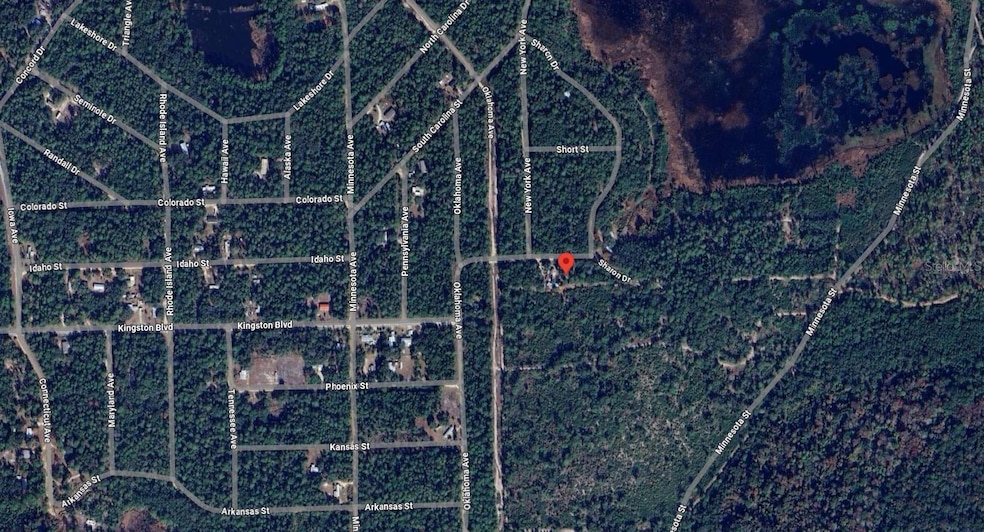 113 Easy Ln, Satsuma, FL 32189 - photo 1