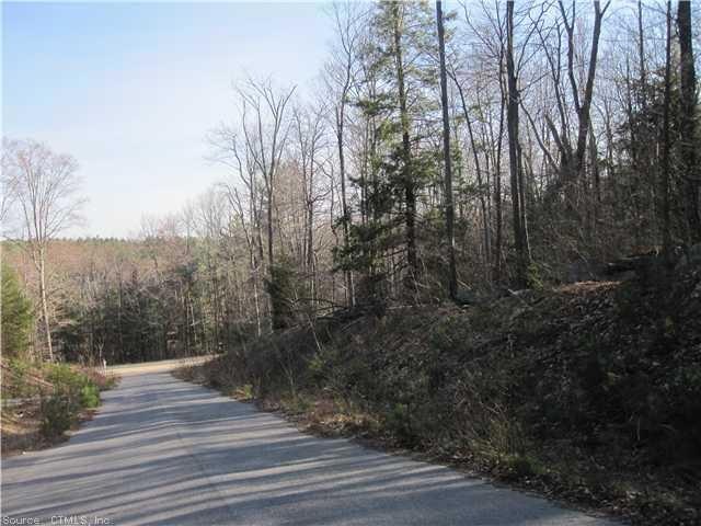 0 West Rd unit G640270, Winsted, CT 06098 - photo 1