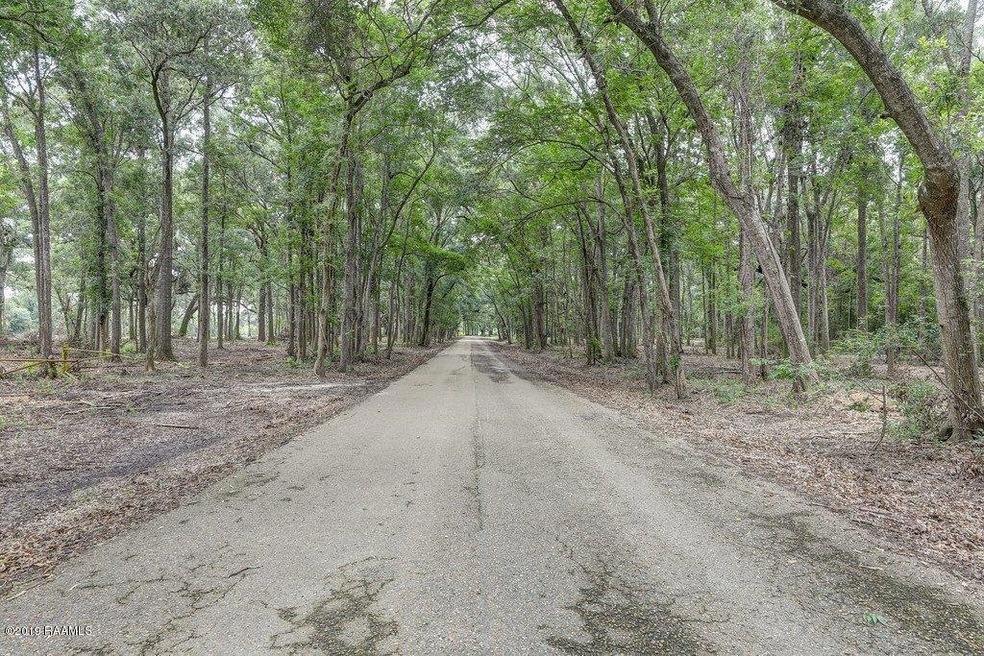 Rip Van Winkle Road