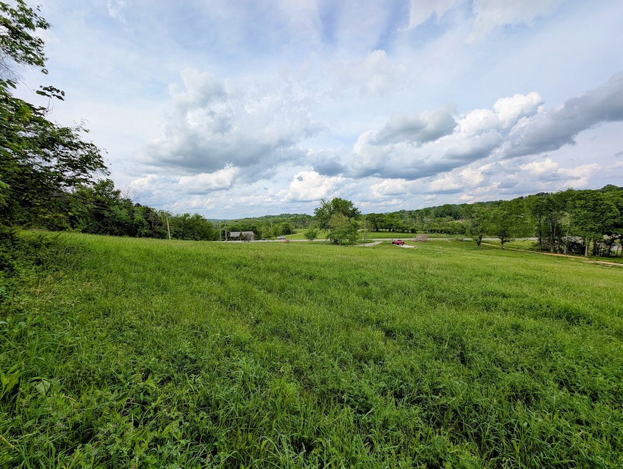 1112 Iron Bridge Rd, Columbia, TN 38401 - photo 1