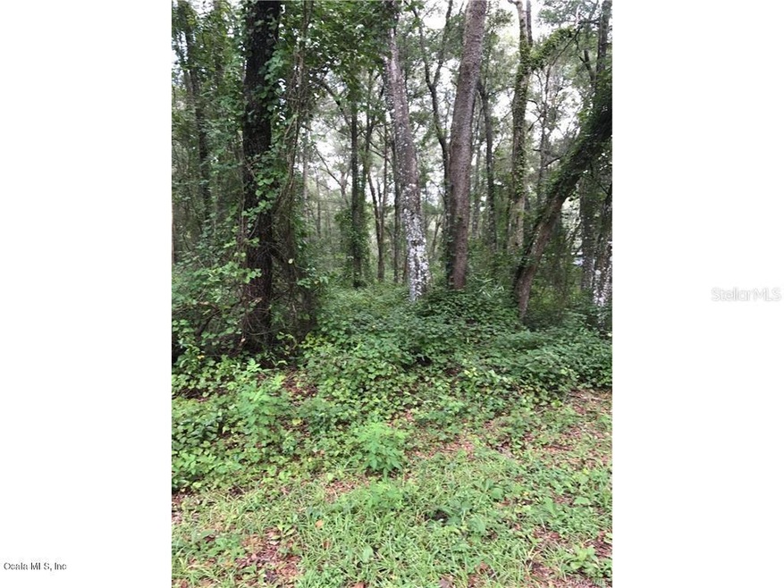 4972 N Dewey Way, Hernando, FL 34442 - photo 1