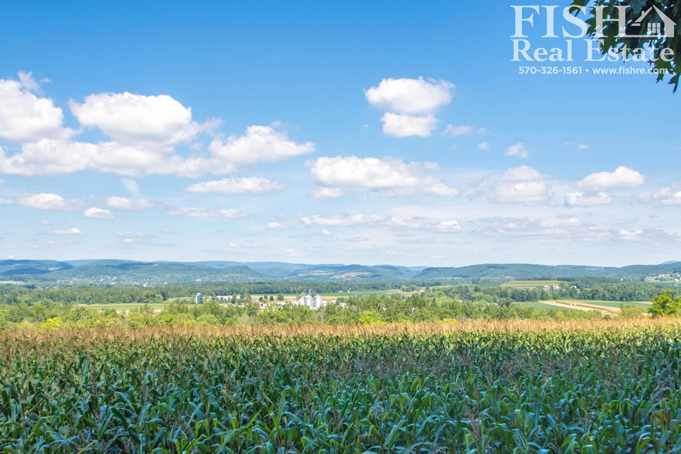 000 Clarkstown Rd, Muncy, PA 17756 - photo 1