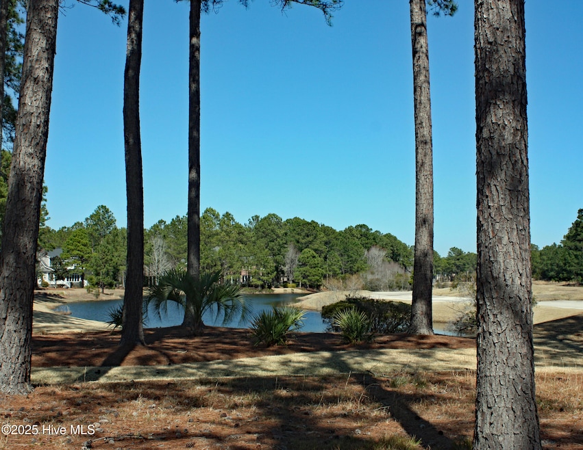 Pond and Golf Views