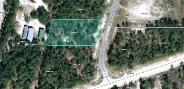 Lot 14 Steinhatchee Cove Way, Steinhatchee, FL 32359 - photo 1