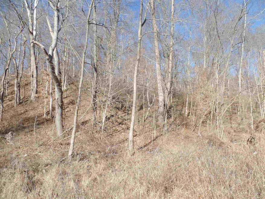 7299 E Mineral-Koleen Rd, Bloomfield, IN 47424 - photo 1