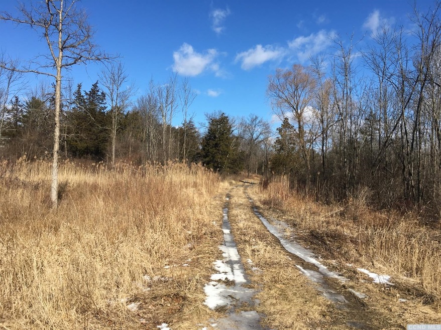 0 Roundtop #3 Rd, Germantown, NY 12526 - photo 1