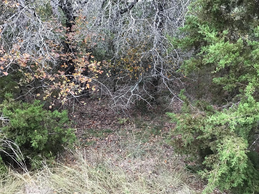 41063 Heartwood Cir, Whitney, TX 76692 - photo 1