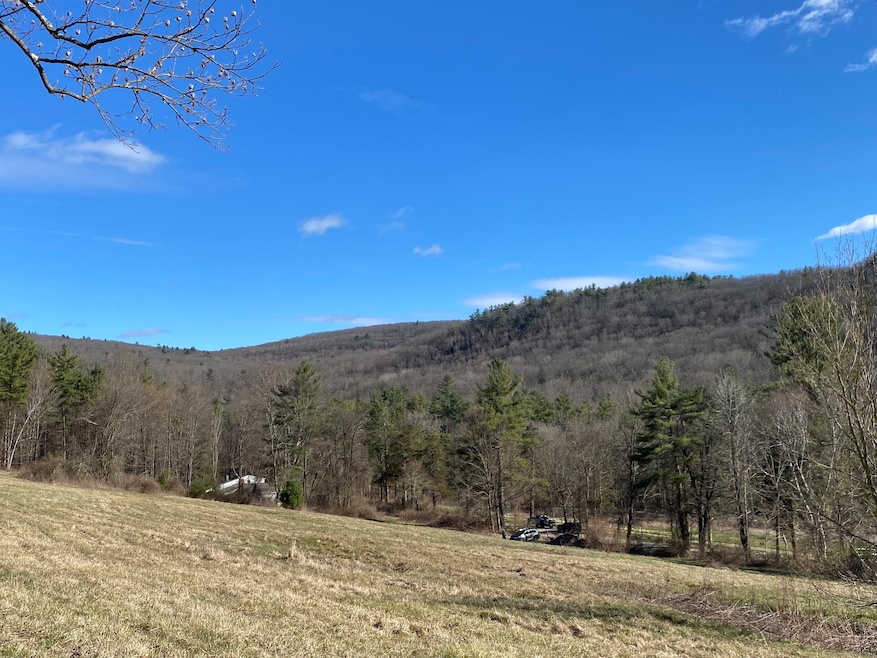198-4 Beebe Hill Rd, Canaan, CT 06031 - photo 1