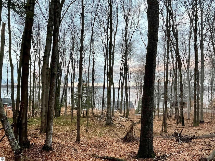Fall view.