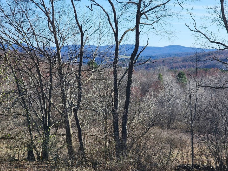 Mtn Views