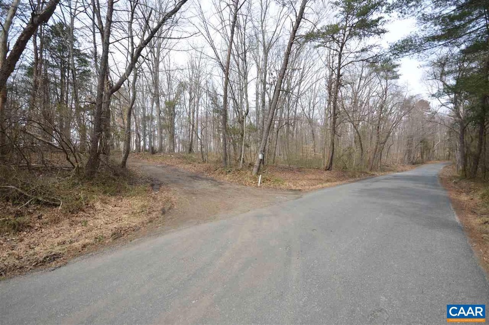 0 Twymans Mill Rd unit 599973, Madison, VA 22719 - photo 1