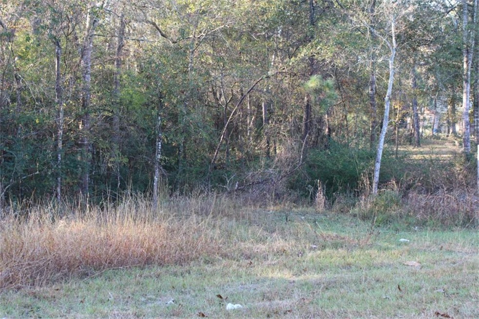 26527 Joseph Rd, Hockley, TX 77447 - photo 1